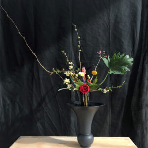 Remont Teaching on 5th May 2024 Agapanthus Isshuike